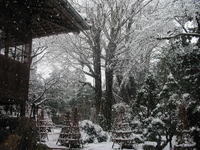冬風景の写真