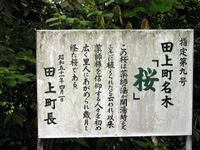 写真yakusi108-0820_IMG1.jpg