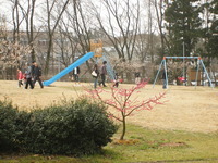 写真bairin05_0.jpg