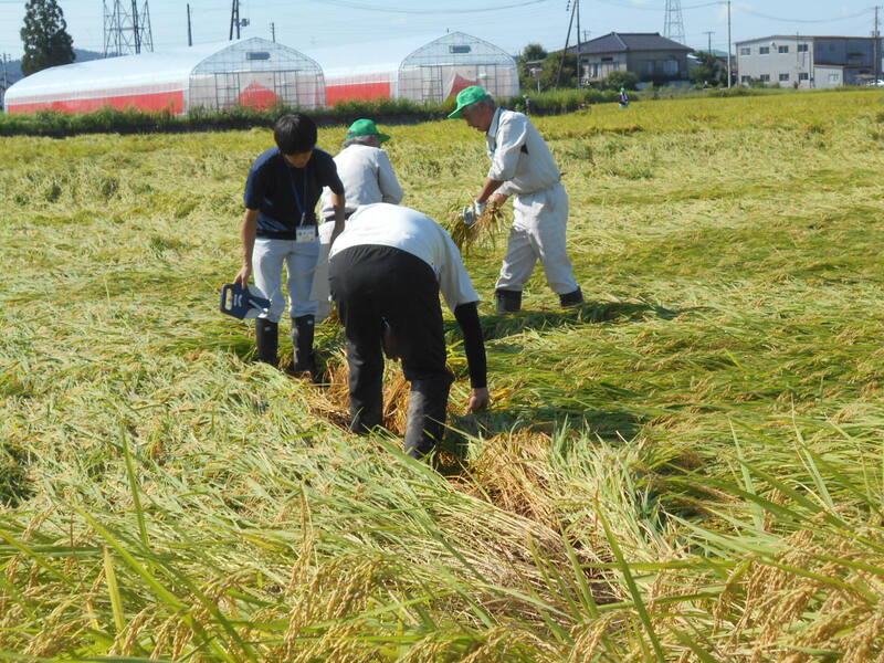 DSCN4875.JPG