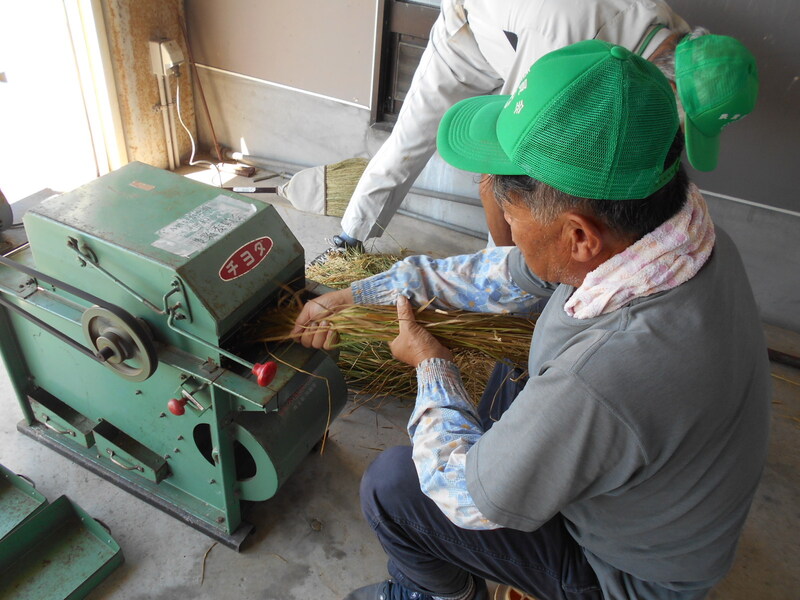 DSCN4930.JPG