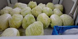 1月14日のフードドライブでご寄付いただいた食品等です。