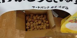 2月11日のフードドライブでご寄付いただいた食品等です。