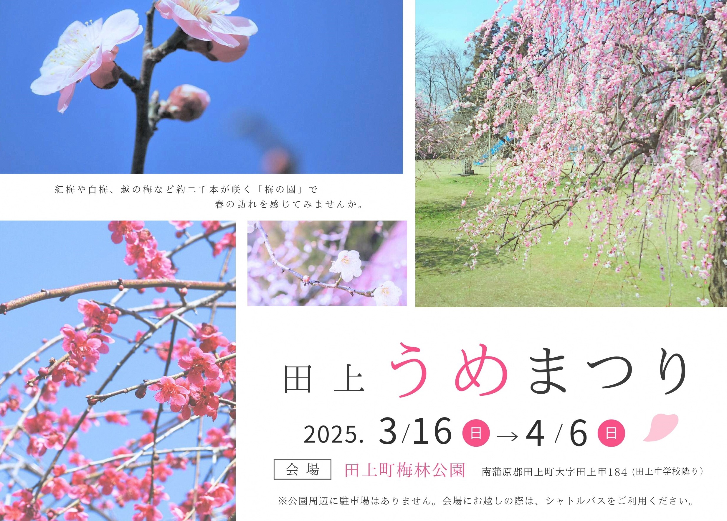 うめまつり2025表面_バナー用.jpg