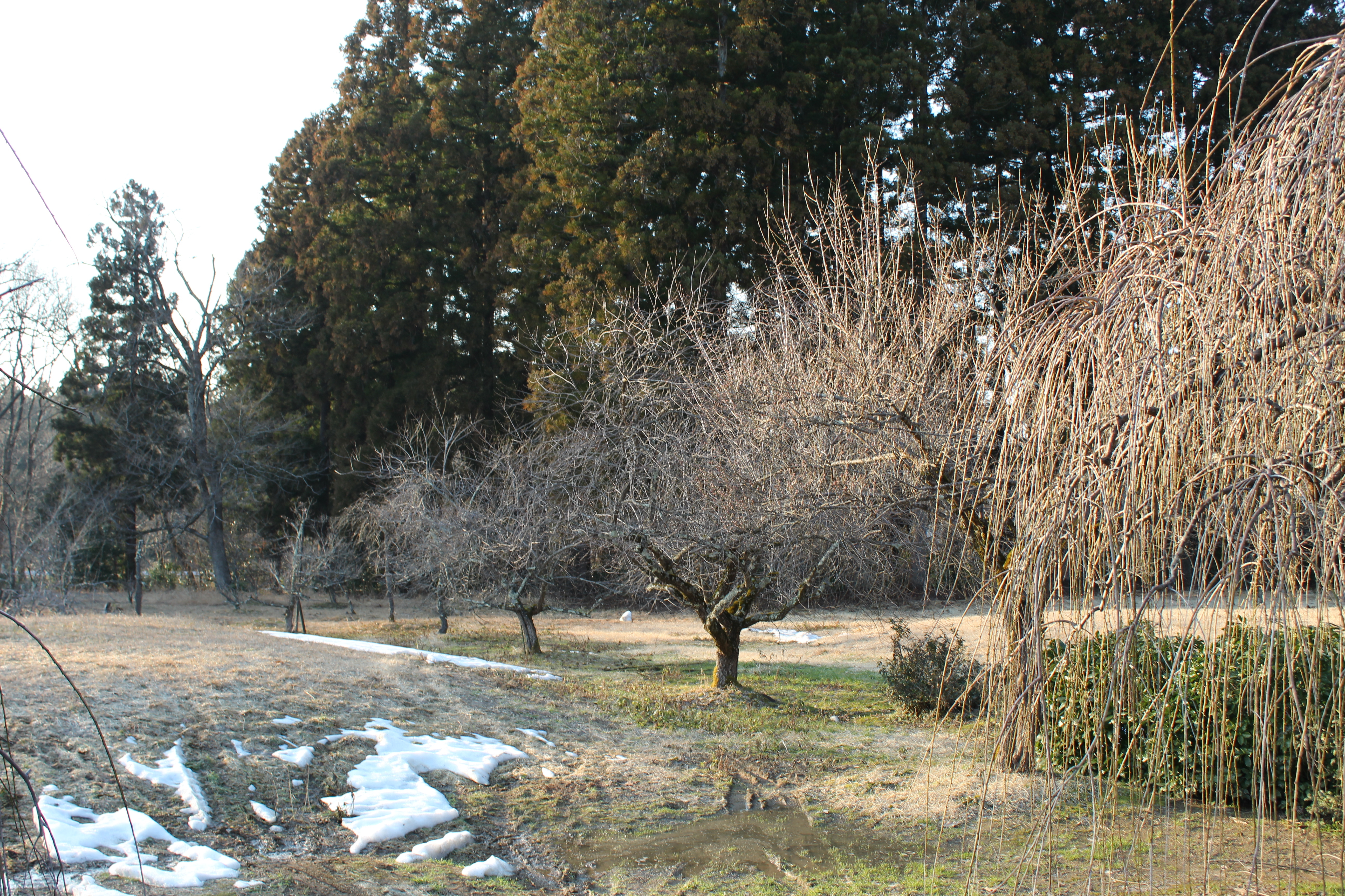 IMG_4189.JPG