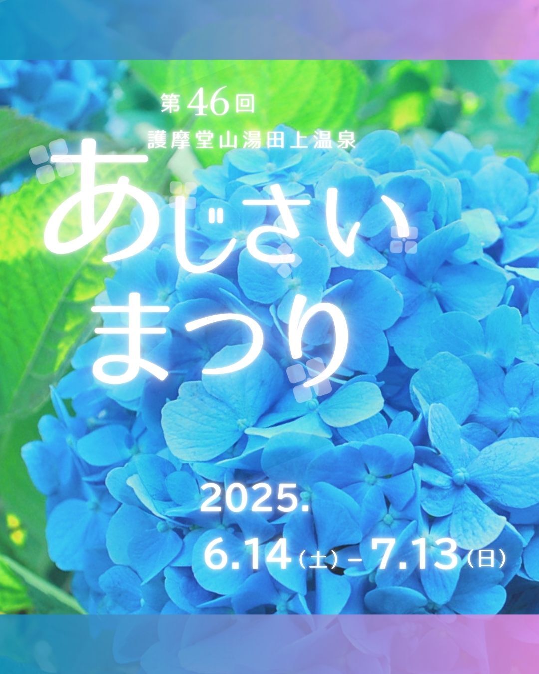 メイン.jpg