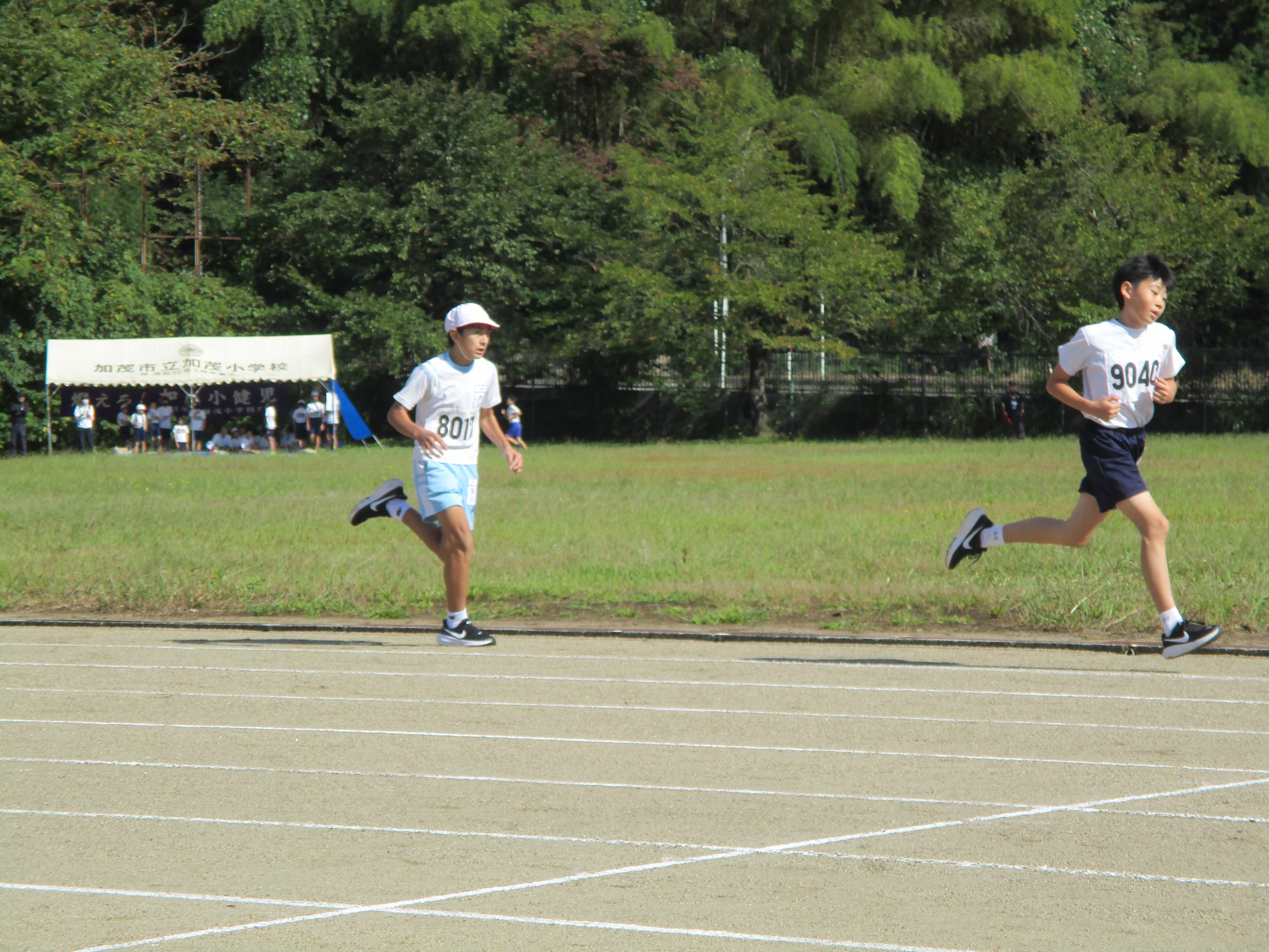 IMG_7747.JPG